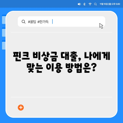 핀크 비상금 대출