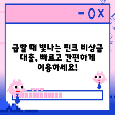 핀크 비상금 대출