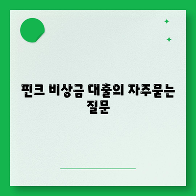 핀크 비상금 대출