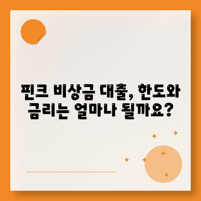 핀크 비상금 대출