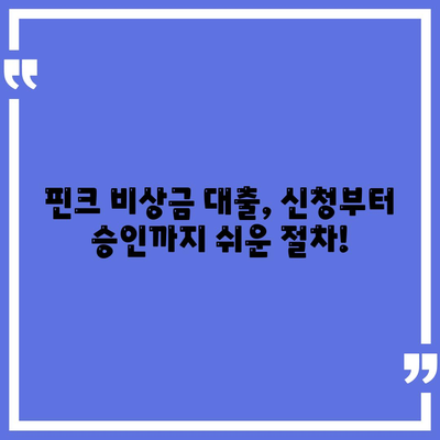 핀크 비상금 대출