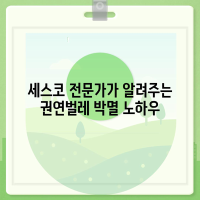 세스코 권연벌레 박멸 가이드| 효과적인 방제 방법과 예방 팁 | 권연벌레, 해충 방제, 세스코, 천연 해충제