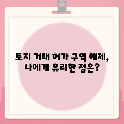 토지 거래 허가 구역 해제, 실거주 조건 신청 방법