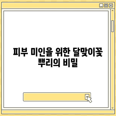 달맞이꽃 뿌리의 놀라운 효능 7가지 | 건강, 피부, 항산화, 면역력, 천연 치료