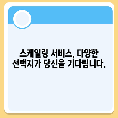 스케일링 비용, 이제는 똑똑하게 알아보세요! | 스케일링 가격 비교, 스케일링 견적, 스케일링 서비스