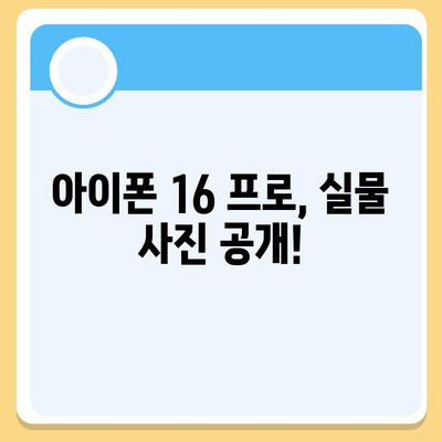 아이폰 16 프로 디자인, 출시일 및 실물 모습