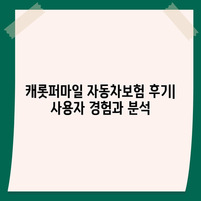 캐롯퍼마일 자동차보험 후기| 실제 사용자 경험과 장단점 분석 | 주행 거리 기반 보험, 할인, 장점, 단점, 추천