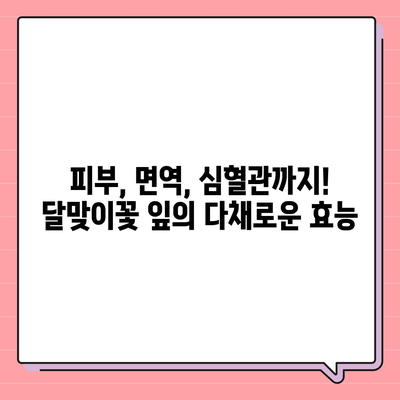 달맞이꽃 잎의 놀라운 효능| 건강과 미용, 10가지 이유 | 달맞이꽃, 잎, 효능, 건강, 미용, 효과, 활용