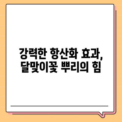 달맞이꽃 뿌리의 놀라운 효능 7가지 | 건강, 피부, 항산화, 면역력, 천연 치료