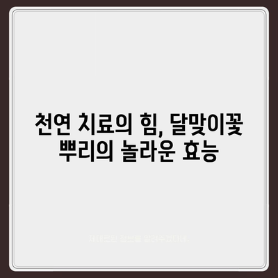 달맞이꽃 뿌리의 놀라운 효능 7가지 | 건강, 피부, 항산화, 면역력, 천연 치료