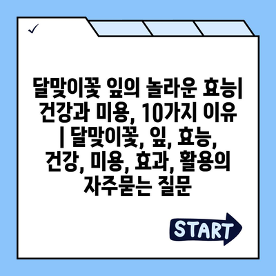 달맞이꽃 잎의 놀라운 효능| 건강과 미용, 10가지 이유 | 달맞이꽃, 잎, 효능, 건강, 미용, 효과, 활용