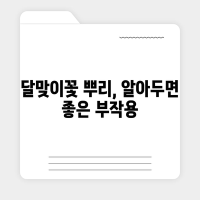 달맞이꽃 뿌리의 놀라운 효능 7가지 | 건강, 피부, 여성 건강, 부작용, 복용법