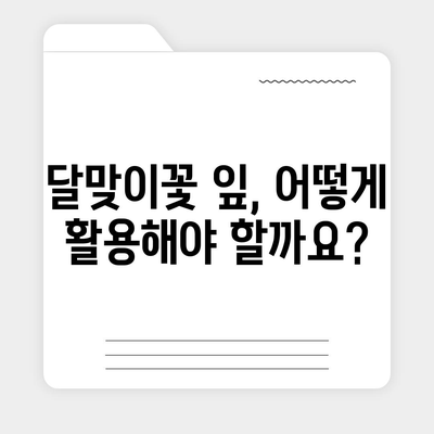 달맞이꽃 잎의 놀라운 효능| 건강과 미용, 10가지 이유 | 달맞이꽃, 잎, 효능, 건강, 미용, 효과, 활용