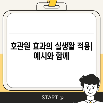 호관원 효과| 이해와 활용 | 마케팅, 심리학, 행동 경제학