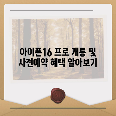 광주시 동구 학동 아이폰16 프로 사전예약 | 출시일 | 가격 | PRO | SE1 | 디자인 | 프로맥스 | 색상 | 미니 | 개통