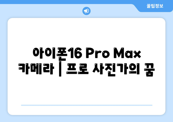 아이폰16 Pro Max 카메라 | 프로 사진가의 꿈