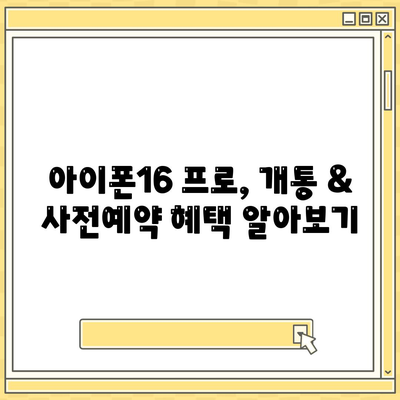 대전시 동구 판암2동 아이폰16 프로 사전예약 | 출시일 | 가격 | PRO | SE1 | 디자인 | 프로맥스 | 색상 | 미니 | 개통