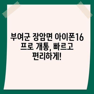 충청남도 부여군 장암면 아이폰16 프로 사전예약 | 출시일 | 가격 | PRO | SE1 | 디자인 | 프로맥스 | 색상 | 미니 | 개통