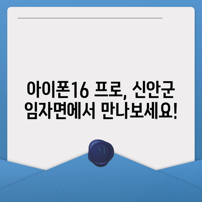 전라남도 신안군 임자면 아이폰16 프로 사전예약 | 출시일 | 가격 | PRO | SE1 | 디자인 | 프로맥스 | 색상 | 미니 | 개통