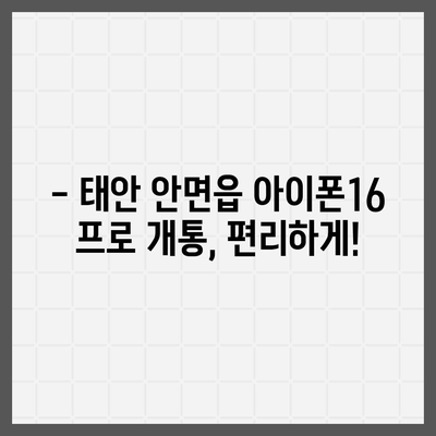 충청남도 태안군 안면읍 아이폰16 프로 사전예약 | 출시일 | 가격 | PRO | SE1 | 디자인 | 프로맥스 | 색상 | 미니 | 개통