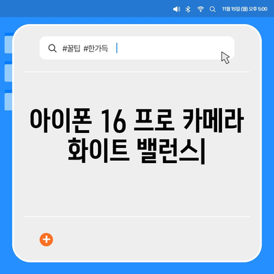 아이폰 16 프로 카메라 화이트 밸런스 | 향상된 정확성과 자연스러운 렌더링