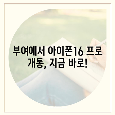 충청남도 부여군 홍산면 아이폰16 프로 사전예약 | 출시일 | 가격 | PRO | SE1 | 디자인 | 프로맥스 | 색상 | 미니 | 개통