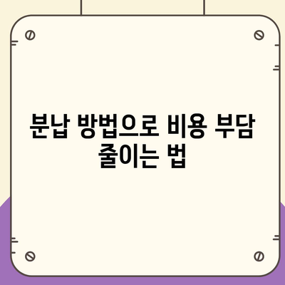 파산 신청, 비용, 절차, 분납