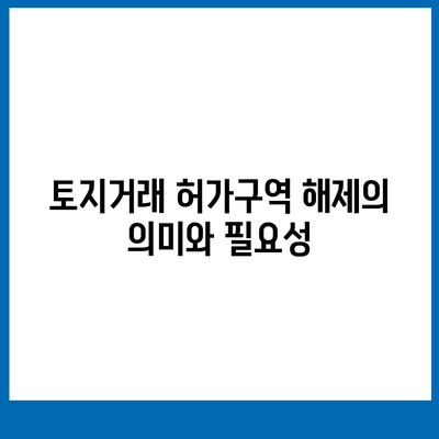 토지거래 허가구역 해제 실거주 조건 신청