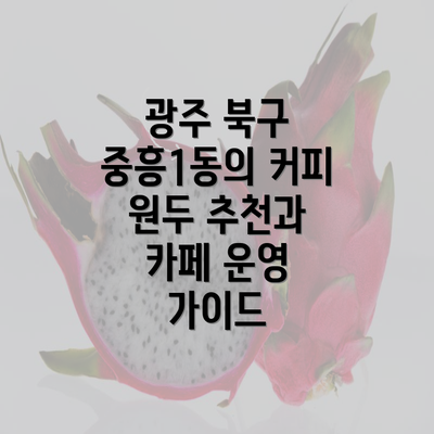 광주 북구 중흥1동의 커피 원두 추천과 카페 운영 가이드