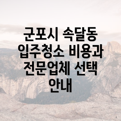 군포시 속달동 입주청소 비용과 전문업체 선택 안내