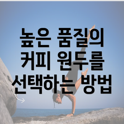 높은 품질의 커피 원두를 선택하는 방법