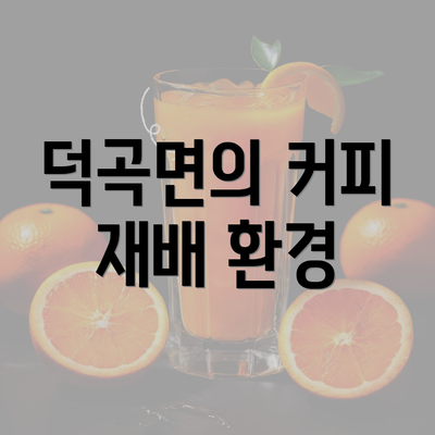 덕곡면의 커피 재배 환경