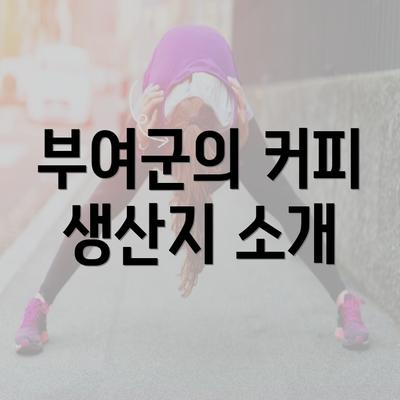 부여군의 커피 생산지 소개