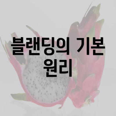 블랜딩의 기본 원리