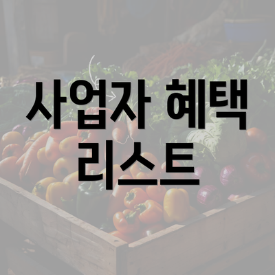 사업자 혜택 리스트