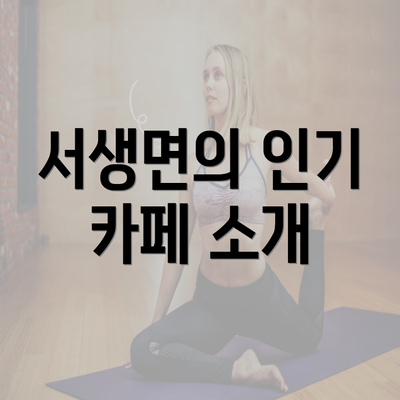 서생면의 인기 카페 소개