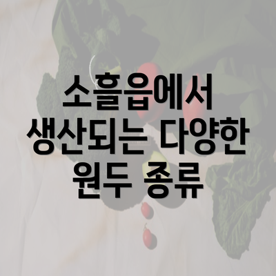 소흘읍에서 생산되는 다양한 원두 종류