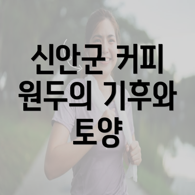 신안군 커피 원두의 기후와 토양