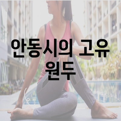안동시의 고유 원두