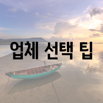 업체 선택 팁