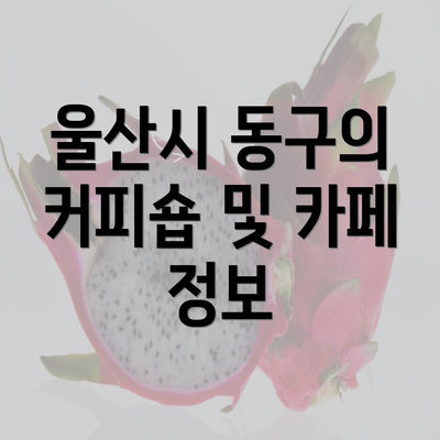 울산시 동구의 커피숍 및 카페 정보