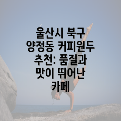 울산시 북구 양정동 커피원두 추천: 품질과 맛이 뛰어난 카페