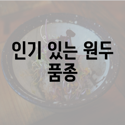 인기 있는 원두 품종