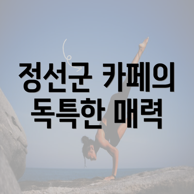 정선군 카페의 독특한 매력