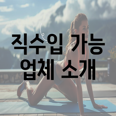 직수입 가능 업체 소개