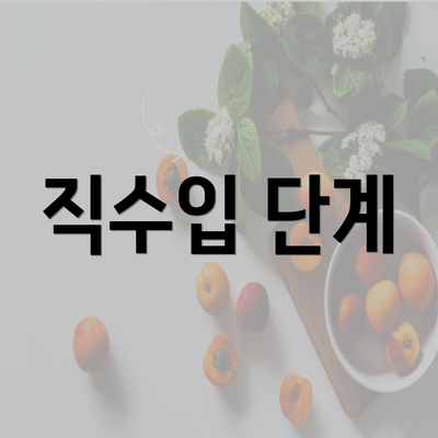 직수입 단계