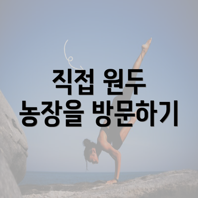 직접 원두 농장을 방문하기