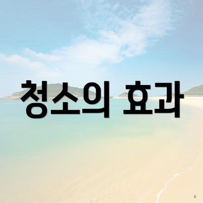 청소의 효과