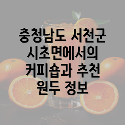 충청남도 서천군 시초면에서의 커피숍과 추천 원두 정보