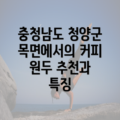 충청남도 청양군 목면에서의 커피 원두 추천과 특징